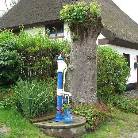 2 Bei Familie Saupe * Schaprode