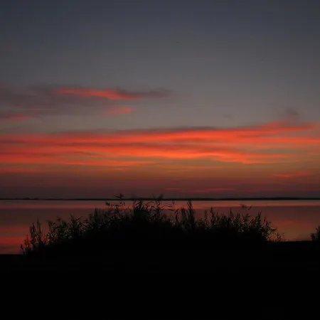 2 Bei Familie Saupe * 沙普罗德