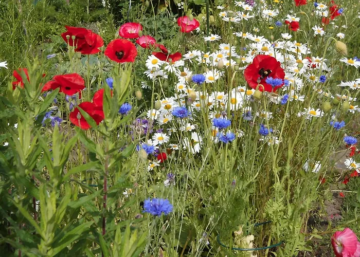 2 Bei Familie Saupe *